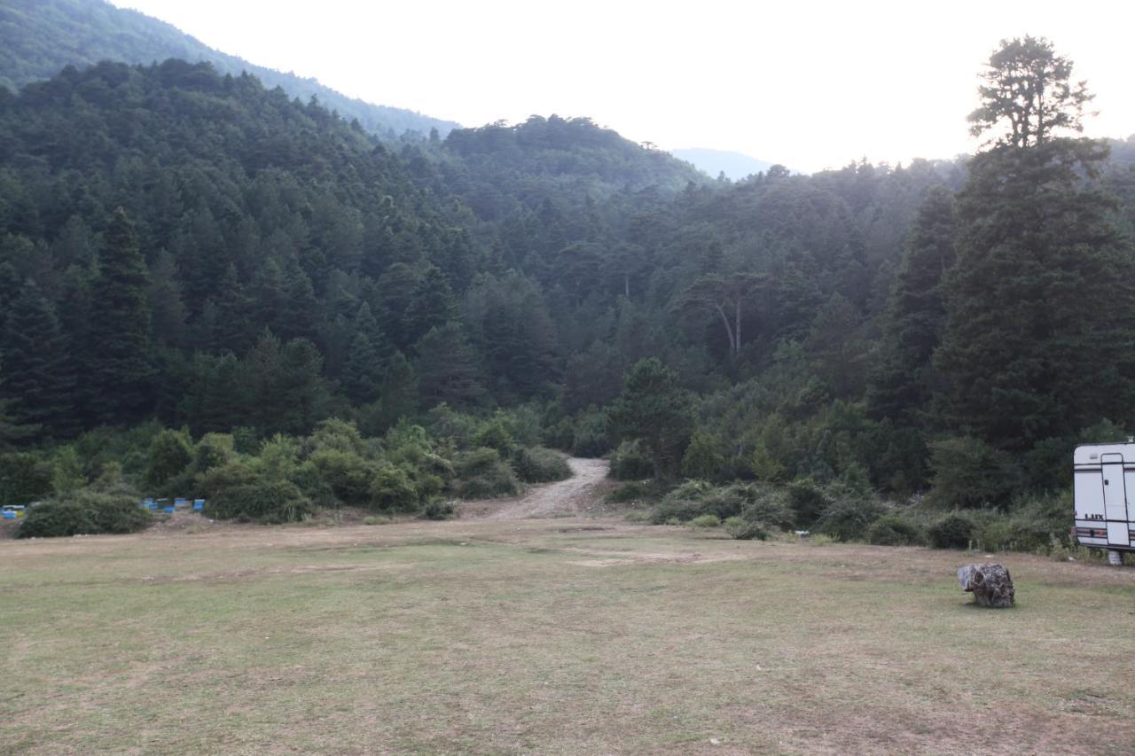 Hamiti Camping Center Dukat Екстериор снимка