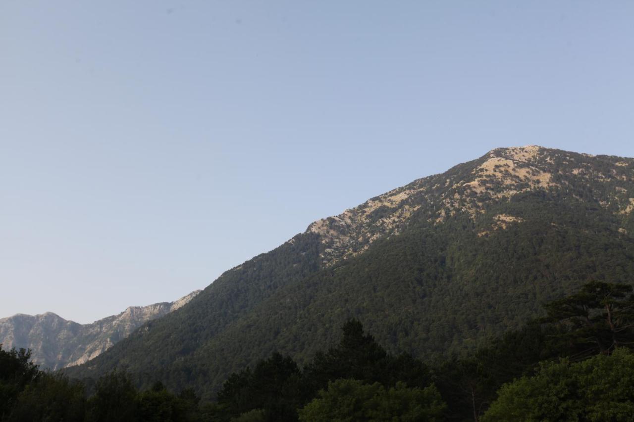Hamiti Camping Center Dukat Екстериор снимка