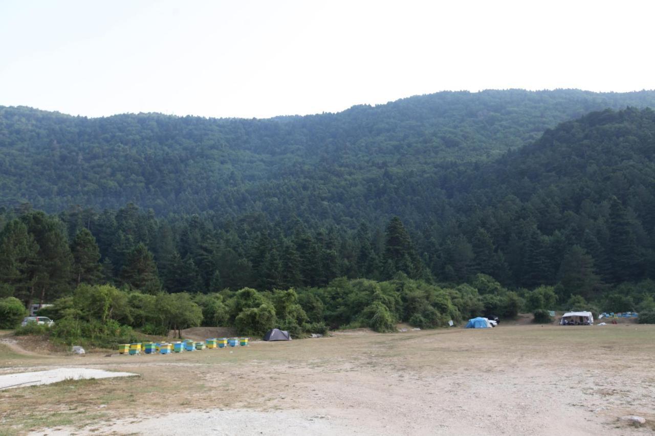 Hamiti Camping Center Dukat Екстериор снимка