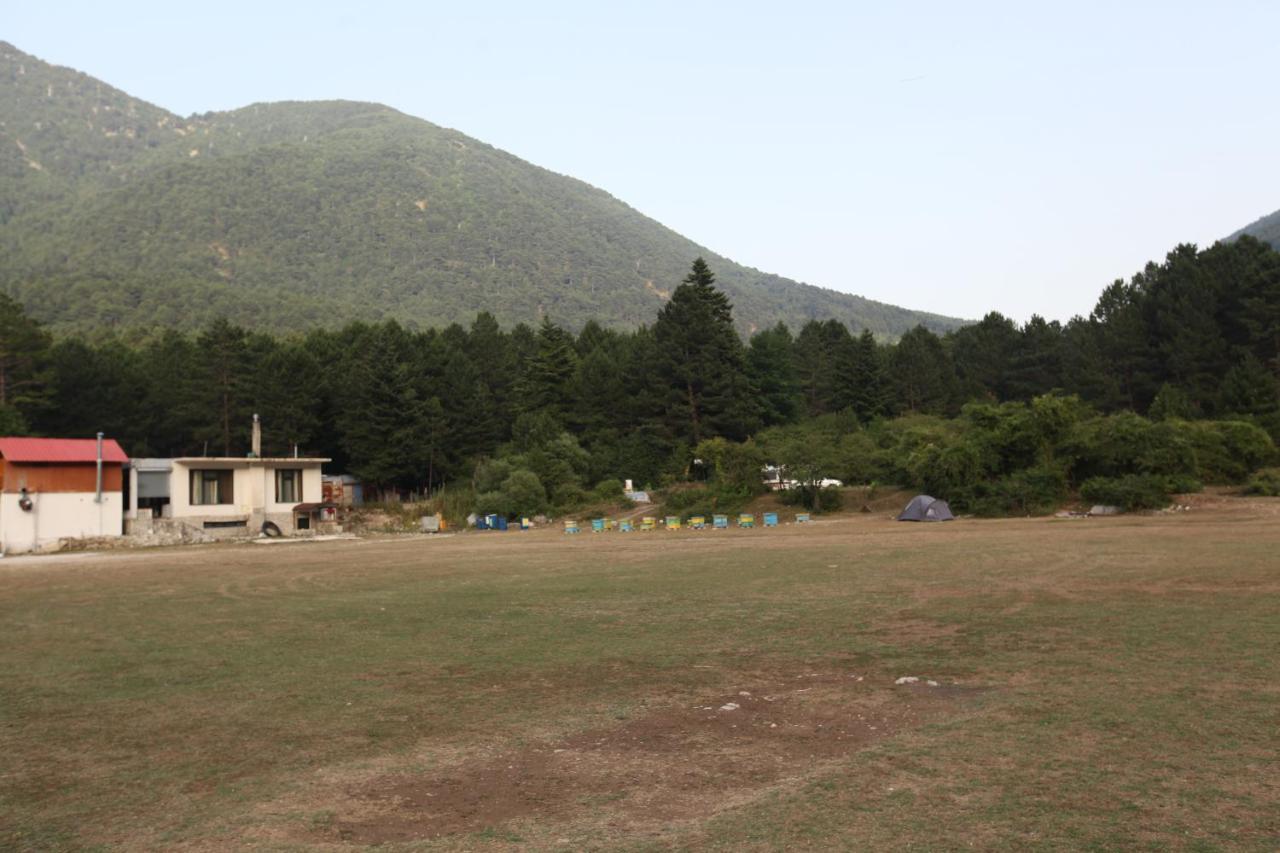 Hamiti Camping Center Dukat Екстериор снимка